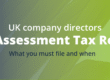 Self Assessment director PAYE", "what income must a director declare HMRC", "Self Assessment deadline 2025/26 director"