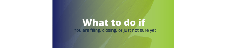 Estonia annual report 30 June, close Estonian company, Estonia liquidation timing